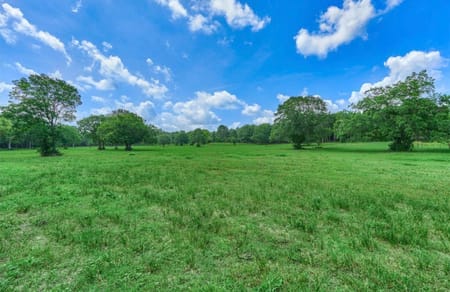 Montgomery, TX 77316 Montgomery County