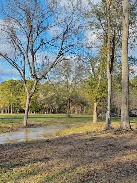 Montgomery, TX 77316 Montgomery County