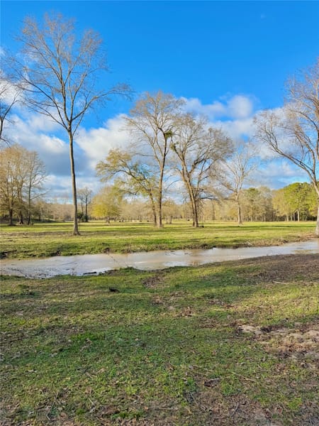 Montgomery, TX 77316 Montgomery County