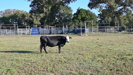 Henderson, TX 75654 Rusk County