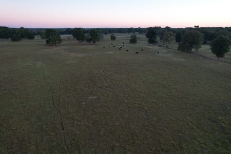 Henderson, TX 75654 Rusk County