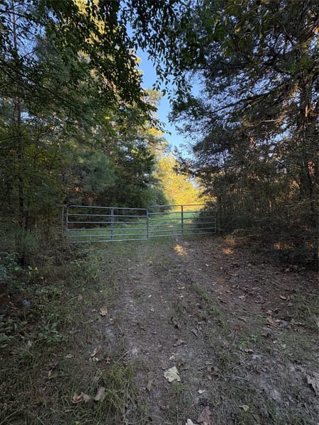 Livingston, TX 77351 Polk County
