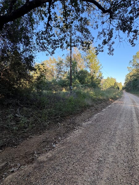 Livingston, TX 77351 Polk County