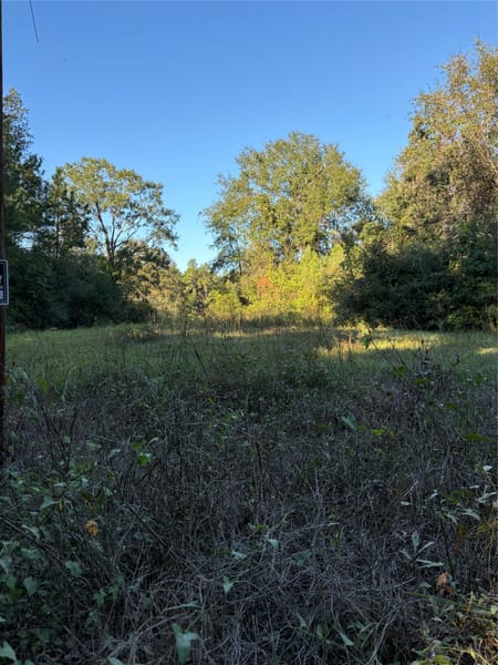 Livingston, TX 77351 Polk County