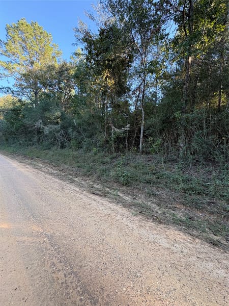 Livingston, TX 77351 Polk County