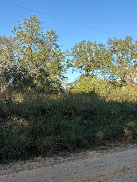 Livingston, TX 77351 Polk County