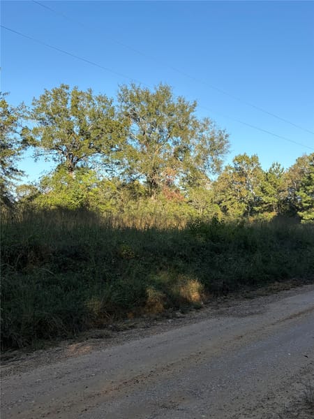 Livingston, TX 77351 Polk County
