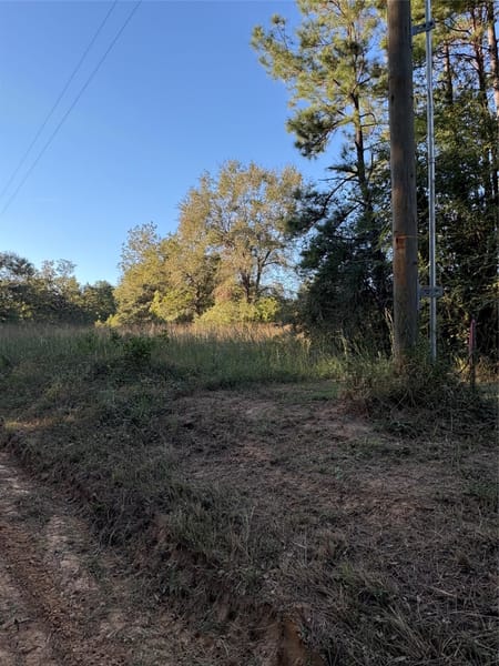 Livingston, TX 77351 Polk County