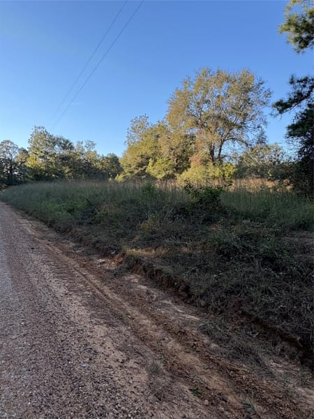 Livingston, TX 77351 Polk County
