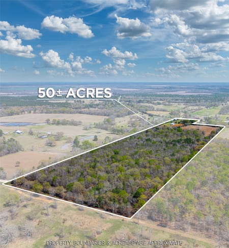 Bagwell, TX 75412 Red River County