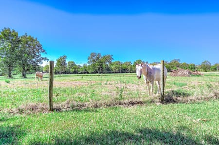 Sweeny, TX 77480 Brazoria County