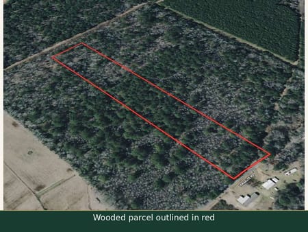 Ringgold, LA 71068 Bienville Parish