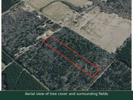 Ringgold, LA 71068 Bienville Parish