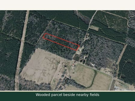 Ringgold, LA 71068 Bienville Parish