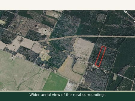 Ringgold, LA 71068 Bienville Parish