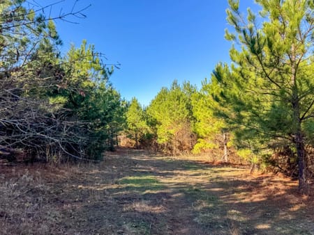 Linden, TX 75563 Cass County