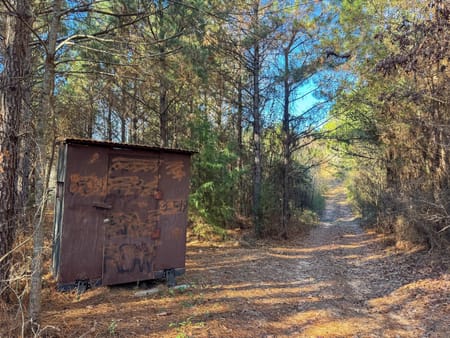 Linden, TX 75563 Cass County