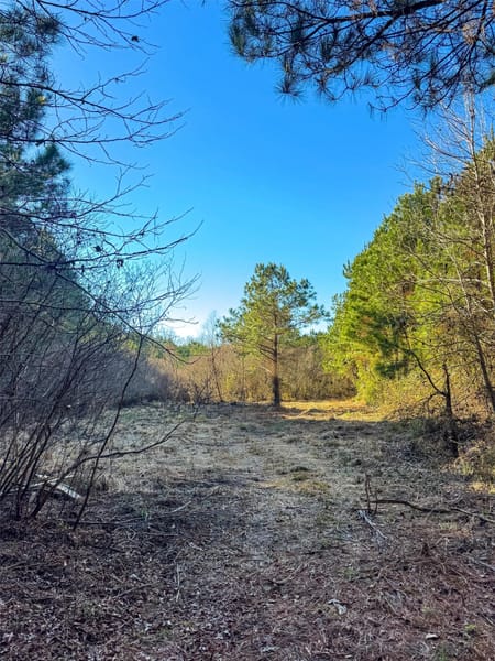Linden, TX 75563 Cass County