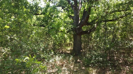 Royse City, TX 75189 Hunt County