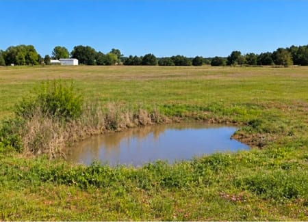 Mexia, TX 76667 Limestone County