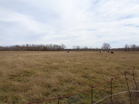 Texas City, TX 77591 Galveston County