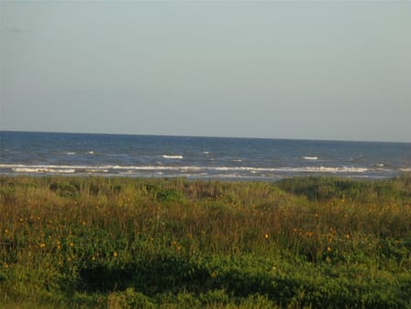 Galveston, TX 77554 Galveston County