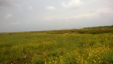 Galveston, TX 77554 Galveston County