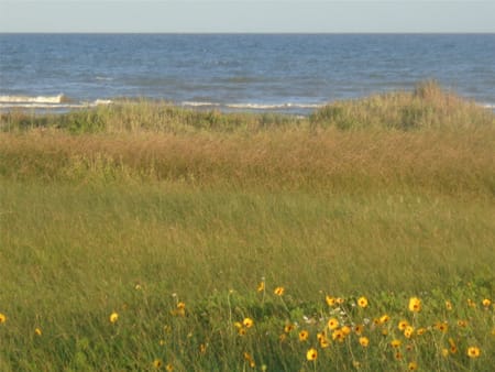 Galveston, TX 77554 Galveston County