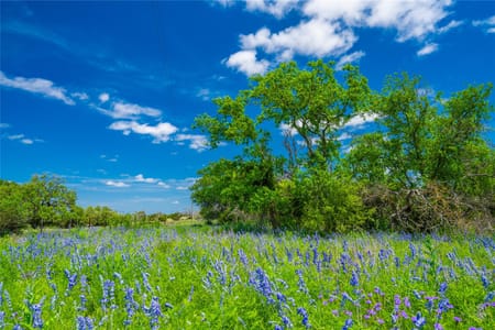 Fredericksburg, TX 78631 Gillespie County
