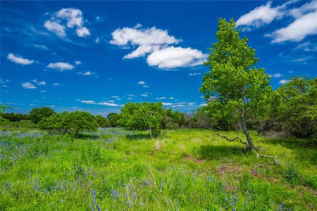 Fredericksburg, TX 78631 Gillespie County