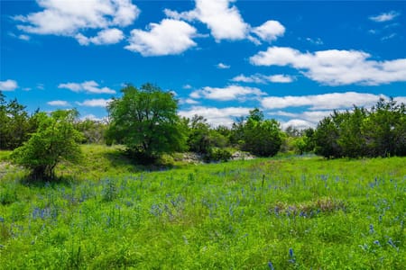 Fredericksburg, TX 78631 Gillespie County