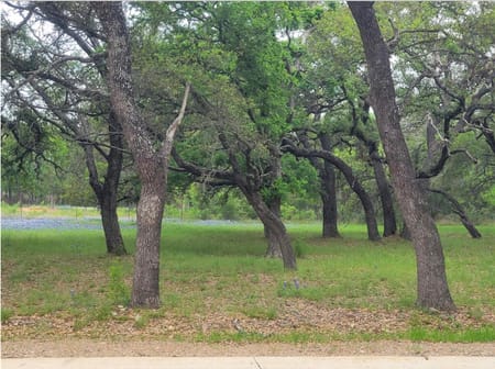 Horseshoe Bay, TX 78657 Llano County