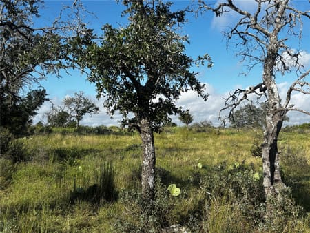 Fredericksburg, TX 78624 Gillespie County