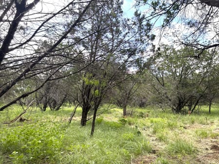 Sunrise Beach, TX 78643 Llano County