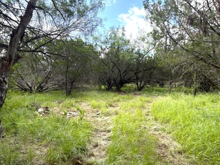 Sunrise Beach, TX 78643 Llano County