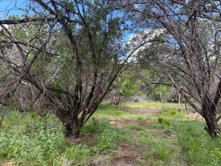 Sunrise Beach, TX 78643 Llano County