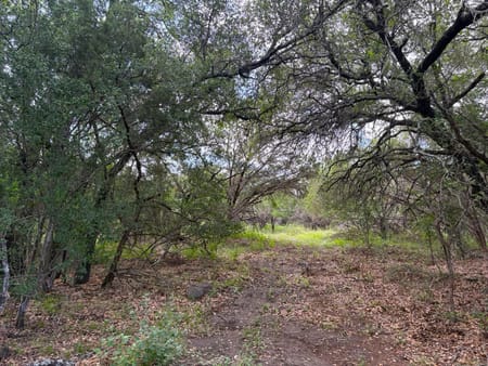 Sunrise Beach, TX 78643 Llano County