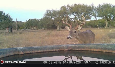 Killeen, TX 76542 Bell County