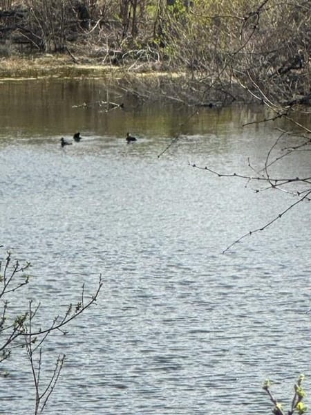 Horseshoe Bay, TX 78657 Burnet County