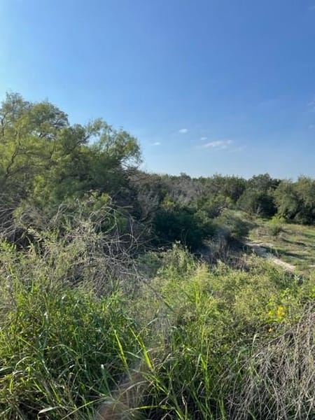 Horseshoe Bay, TX 78657 Burnet County