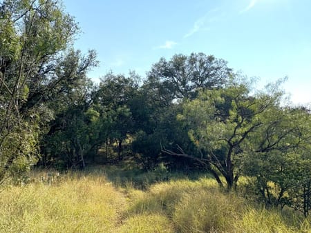 Sunrise Beach, TX 78643 Llano County