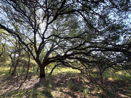 Sunrise Beach, TX 78643 Llano County