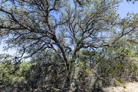 Horseshoe Bay, TX 78657 Burnet County
