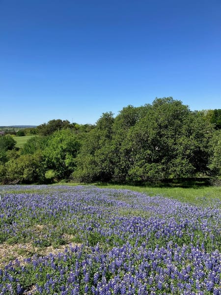 Horseshoe Bay, TX 78657 Llano County