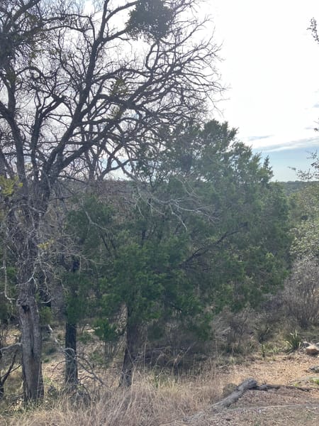 Horseshoe Bay, TX 78657 Llano County