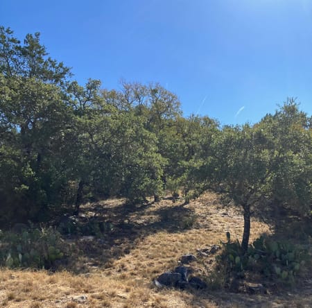 Horseshoe Bay, TX 78657 Llano County