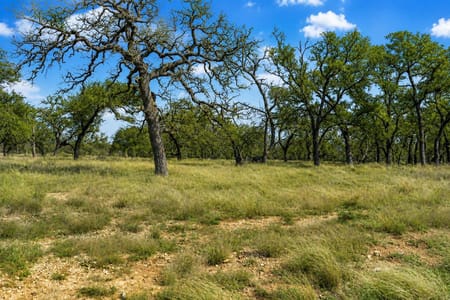 Fredericksburg, TX 78624 Gillespie County