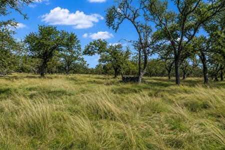 Fredericksburg, TX 78624 Gillespie County