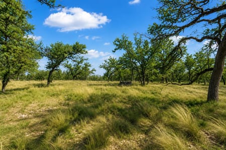 Fredericksburg, TX 78624 Gillespie County