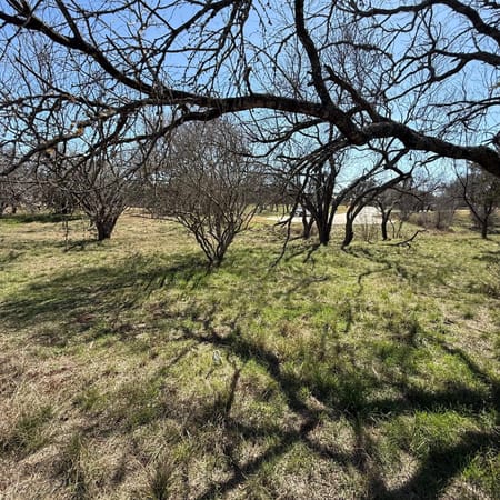 Horseshoe Bay, TX 78657 Llano County